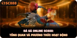 Đá gà online sc888: Tổng quan và phương thức hoạt động
