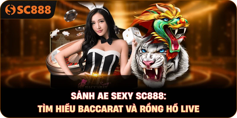 Sảnh AE Sexy sc888: Tìm hiểu Baccarat và Rồng Hổ live