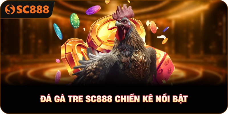 đá gà tre sc888 chiến kê nổi bật