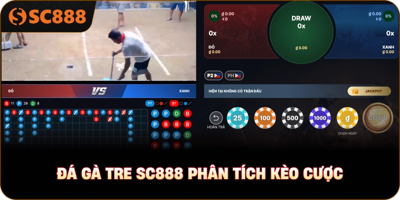 đá gà tre sc888 phân tích kèo cược