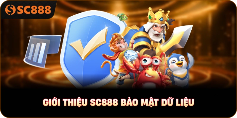 Giới thiệu sc888 bảo mật dữ liệu